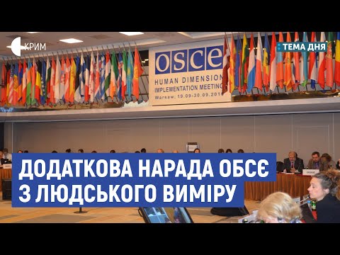 Додаткова нарада ОБСЄ з людського виміру | Сєдов, Бабін | Тема дня