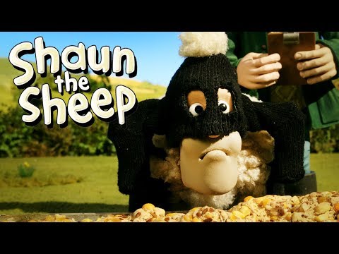 , title : 'Wanted | Shaun the Sheep Season 5 | Full Episode'