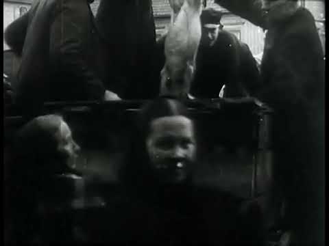 1905 - Marketing film from Falkenberg