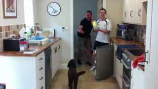 Secret Lemonade Drinker