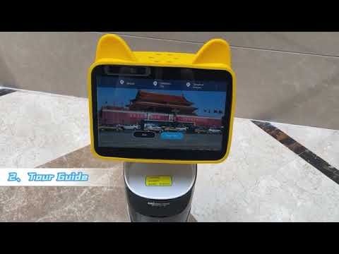 Robot video preview