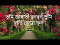 তুমি যষ্টি মুকুল মিষ্টি বকুল বৃষ্টি ভ�