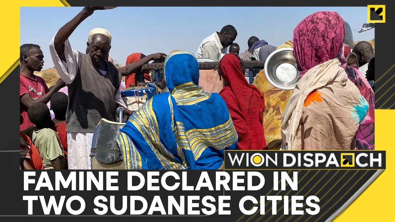 Sudan: UN Confirms Catastrophic Hunger in El Fasher & Kadugli | WION Dispatch