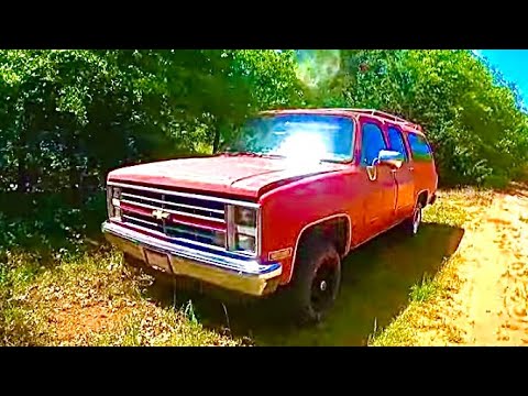 Let's get back to business. Paint & bodywork. Car flips.....