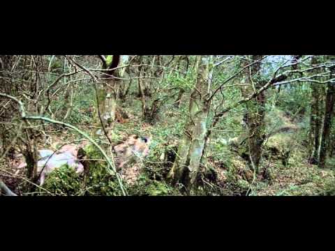 Omen 3 Vegso Leszamolas 1981 BDRip Xvid Hun Daw086