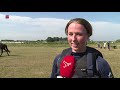 Eventing Emmeloord tevreden over verloop evenement