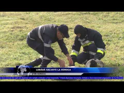 Intervenție neobișnuită a salvatorilor din Soroca