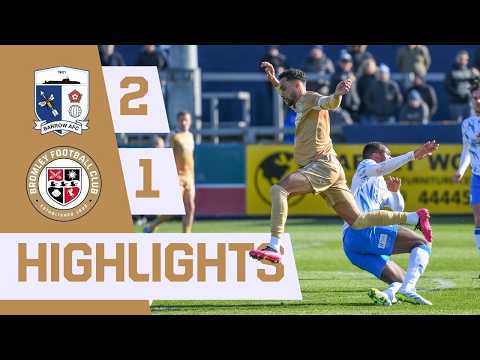 bg-highlight