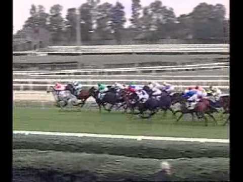 Premio Roma 2010 (GR 1)