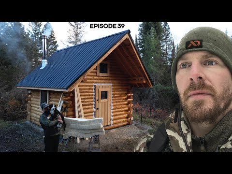 Log Cabin Build on Off-Grid Homestead |EP39| Roof Insulation, Woodshed Foundation, Sauna Site
