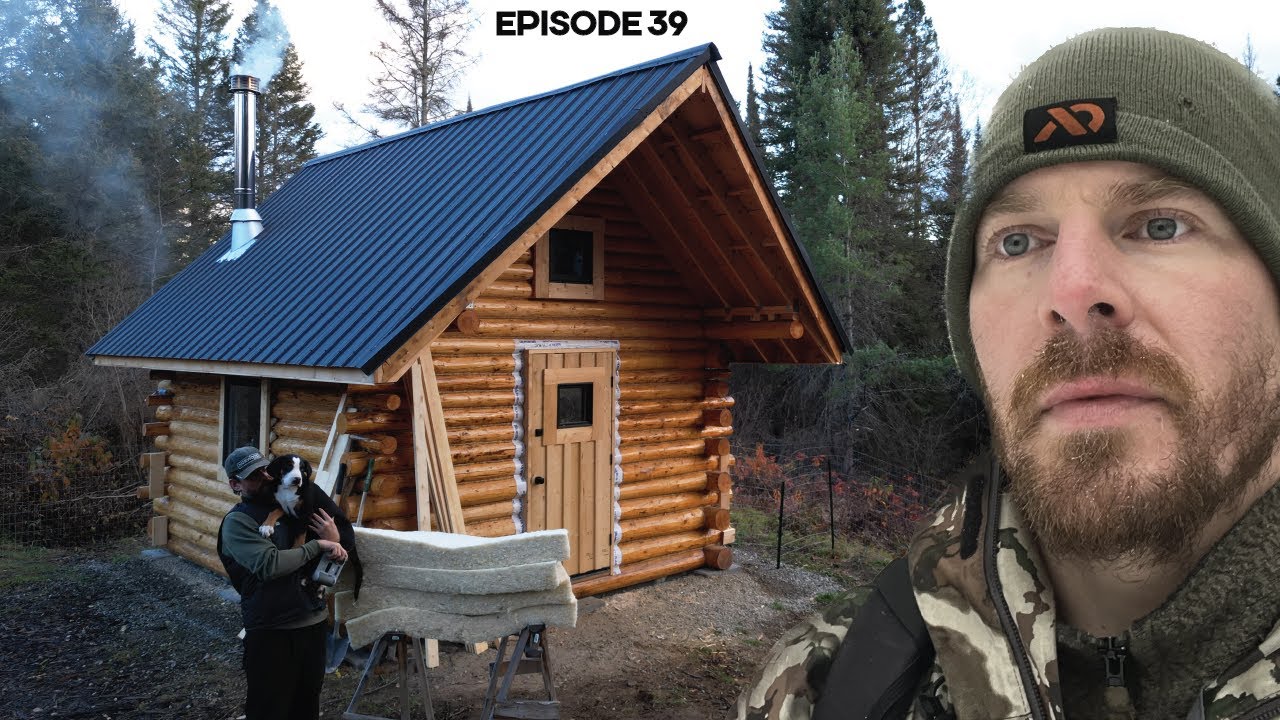 Log Cabin Build on Off-Grid Homestead |EP39| Roof Insulation, Woodshed, Sauna