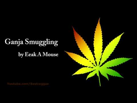 Ganja Smuggling - Eeak A Mouse (Lyrics)
