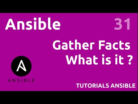 Gather Facts ANSIBLE 31