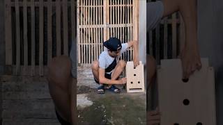 Download lagu Kedatangan ayam muda dapat dari ternakan temen, kita spil besarnya di partII #ayambangkok #shorts mp3