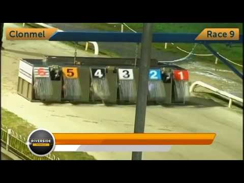 Newinn Session - 2019 Rural Hawaii @ Stud Unraced