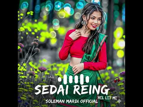 NEW SANTALI ROMANTIC SONG | SEDAI REING NEL LET ME | SANTALI SOULFUL VERSE | #santalinewsong2025