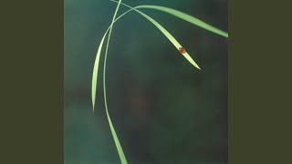 Heresy/Garden Of Blighty