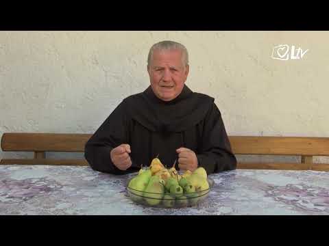 Zlatni savjeti - Kruška