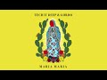 TECH IT DEEP X Gordo Maria Maria Official Audio