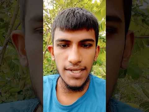 Cat blander করার কারণ কি??