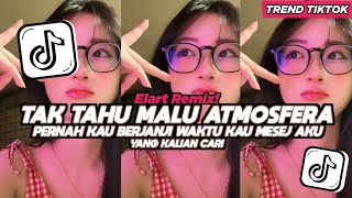 Download lagu DJ TAK TAHU MALU PERNAH KAU BERJANJI WAKTU KAU MESEJ AKU ELART REMIX FULL SONG VIRAL mp3