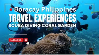 Travel Experiences - Boracay Philippines&nbsp;Scuba Diving Coral Garden Reef with Easy Dive Shop