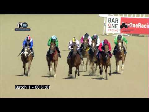 Irish EBF Barrier Trials 05 September 2023 - Batch 01