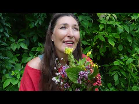 Seelenbotschaft der Schnitterin