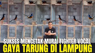 Download lagu SUCCESS STORY OF MURAI BATU BIRD BREEDERS, VOCAL FIGHTER, FIGHTING STYLE, ADA SUGIK ALFAREZ BIRDF... mp3 Download lagu SUCCESS STORY OF MURAI BATU BIRD BREEDERS, VOCAL FIGHTER, FIGHTING STYLE, ADA SUGIK ALFAREZ BIRDF... mp3