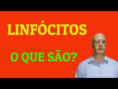 Linfócitos. O que são?