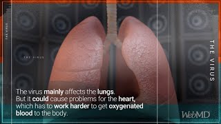 COVID-19: Heart Disease and High Blood Pressure | WebMD