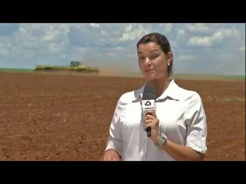 PLANTIO FEIJÃO  - GLOBO RURAL - 28.03 2014