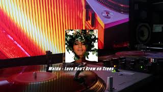 Waldo - Love Don&#39;t Grow on Trees (Vinyl)
