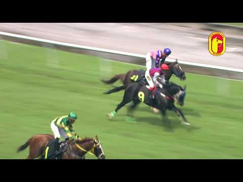 10 November 2018 RACE 3