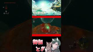 ゼル伝初心者が英雄になったあとの物語  189 #ゲーム実況 #shorts #short #ゲーム #ゼルダの伝説