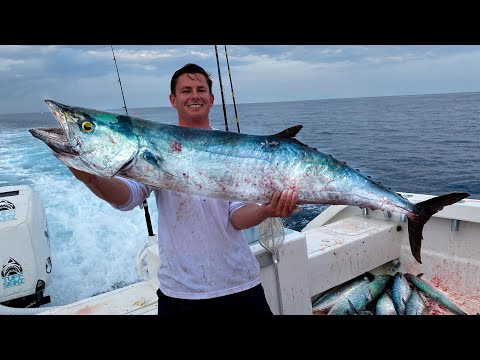 The Day of GIANTS... MONSTER Kingfish ( Commercial Fishing)