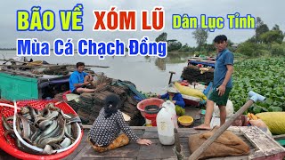 BÃO VỀ XÓM LŨ NƯỚC DÂNG BỎ BỜ - NGƯỜI LỤC TỈNH CHẠY ĐỒNG MƯU SINH THEO CON CÁ CHẠCH