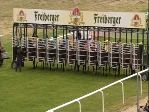 Rennverein Dresden - 17.06.2017 - 5.Rennen