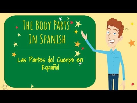 Learn The Body Parts in Spanish: El Cuerpo (The Body)