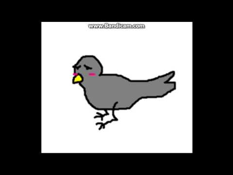 Hvad er det farligste dyr i verden