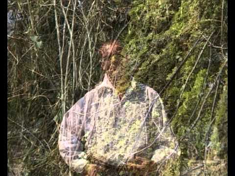 Bebe Dragomir - Doamne cum o trecut vremea