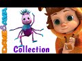 Itsy Bitsy Spider | Nursery Rhymes Compilation | YouTube Nursery Rhymes from Dave and Ava