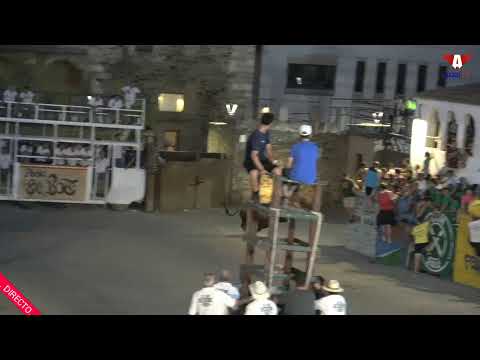 Festejos taurinos directo