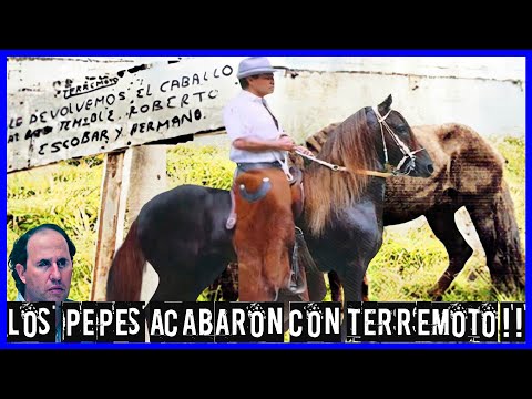 Manizales Earthquake The Mafia's Favorite Horse