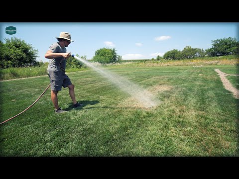 How To Fix DRY SPOTS In Your Lawn
