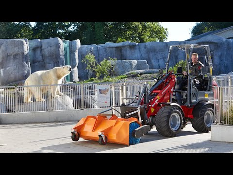 Weidemann – Der neue 1160 eHoftrac® Einsatz im Zoo