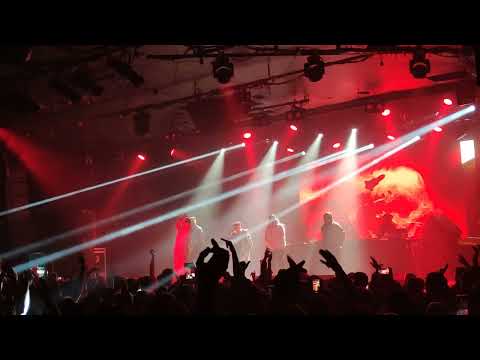 Space Hammu - Fiore 95 en DIRECTO