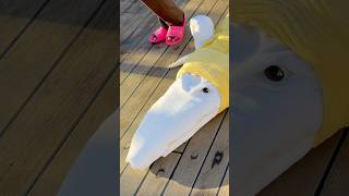 #cruise #vlog #subscribe #carnivalcruise #carnival #cruiseship #love #youtubeshorts #funny #shorts