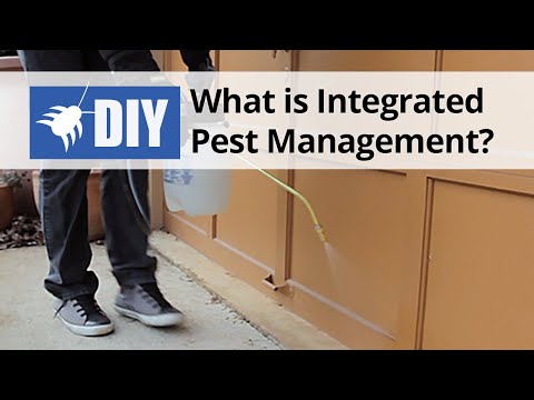  What is Integrated Pest Management? (IPM) Video 
