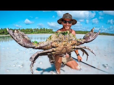 GIANT CRAB Barehanded Catch & Cook